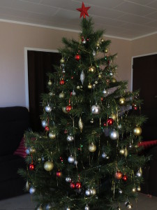 No time to sort out the tree, Hire your Christmas tree from Jungles.